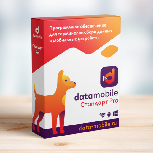 ПО DataMobile, версия Стандарт Pro в Костроме
