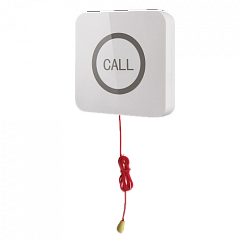 Кнопка вызова iBells 310S влагозащищенная со шнуром для МГН в Костроме